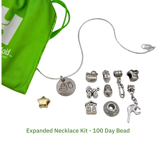 NICU Milestone Bead Necklace Kit - Bilingual (qty 25)